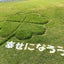 ブロンの地球遊びのサムネイル