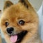 ＦＲ９５Ｓのサムネイル