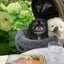 まるのサムネイル