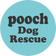 特定非営利活動法人Pooch Dog Rescue