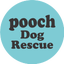 画像 特定非営利活動法人Pooch Dog Rescueのユーザープロフィール画像