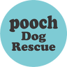 特定非営利活動法人Pooch Dog Rescueのプロフィール