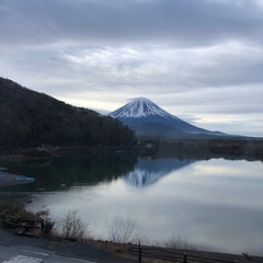 リーロンのプロフィール
