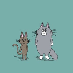スイムのプロフィール