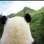ぱん田のサムネイル