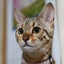 ベルのサムネイル