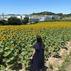 MMのプロフィール