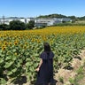 MMのプロフィール