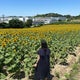 MMのおすすめのサムネイル
