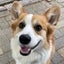 ぜんのサムネイル