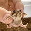ahhhhhmiのサムネイル