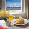 K Cloverのプロフィール