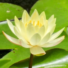 yaokn2311のプロフィール