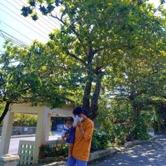 うちなんちゅ(沖縄県民)Tのプロフィール