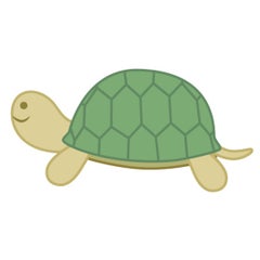 カメ子のプロフィール
