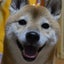 mamのブログのサムネイル