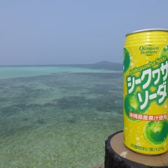 健康のためにためしてよかったもの（健試）のプロフィール