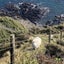 nzlifemayuのサムネイル