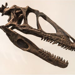 zero-raptorのプロフィール