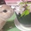 maru-komechanのサムネイル
