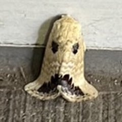地下室ワインセラーのプロフィール