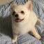 Rainのサムネイル