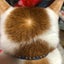 happy-cats-daysのサムネイル