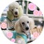 かあこのサムネイル