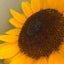 98noningのサムネイル