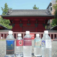 現役理系大学生 たまのプロフィール