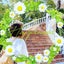 RENKA🌿✨のサムネイル