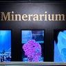 Minerariumのプロフィール