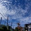水ノ江　真奈（ぶーにゃん）のサムネイル