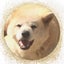 non☆mama（ノン）のサムネイル
