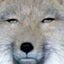 daru-peroのサムネイル