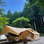 テテのサムネイル