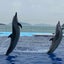 ともさんのサムネイル