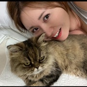 halのおすすめのサムネイル