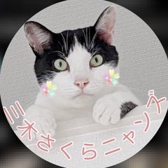 三木さくらニャンズのプロフィール