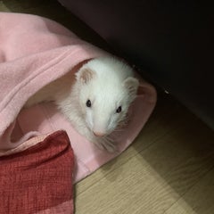 IT小僧のお部屋のプロフィール
