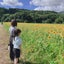 🌼yumehana🌼のサムネイル