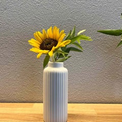 まつのいえ🏡のプロフィール