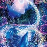 na-0205-kaのプロフィール