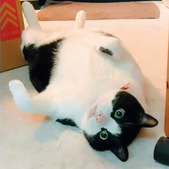 いんどあ人のプロフィール