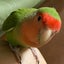 めいやの部屋のサムネイル