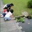 ユカリルのサムネイル