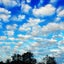 画像 羊雲の徒然ブログ。のユーザープロフィール画像