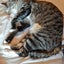 うっしーのサムネイル