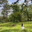 京都で双子育児奮闘中little twinsのサムネイル