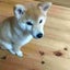 ゆかりのサムネイル